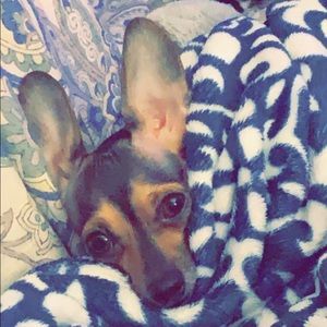 Meet your Posher, Lauren